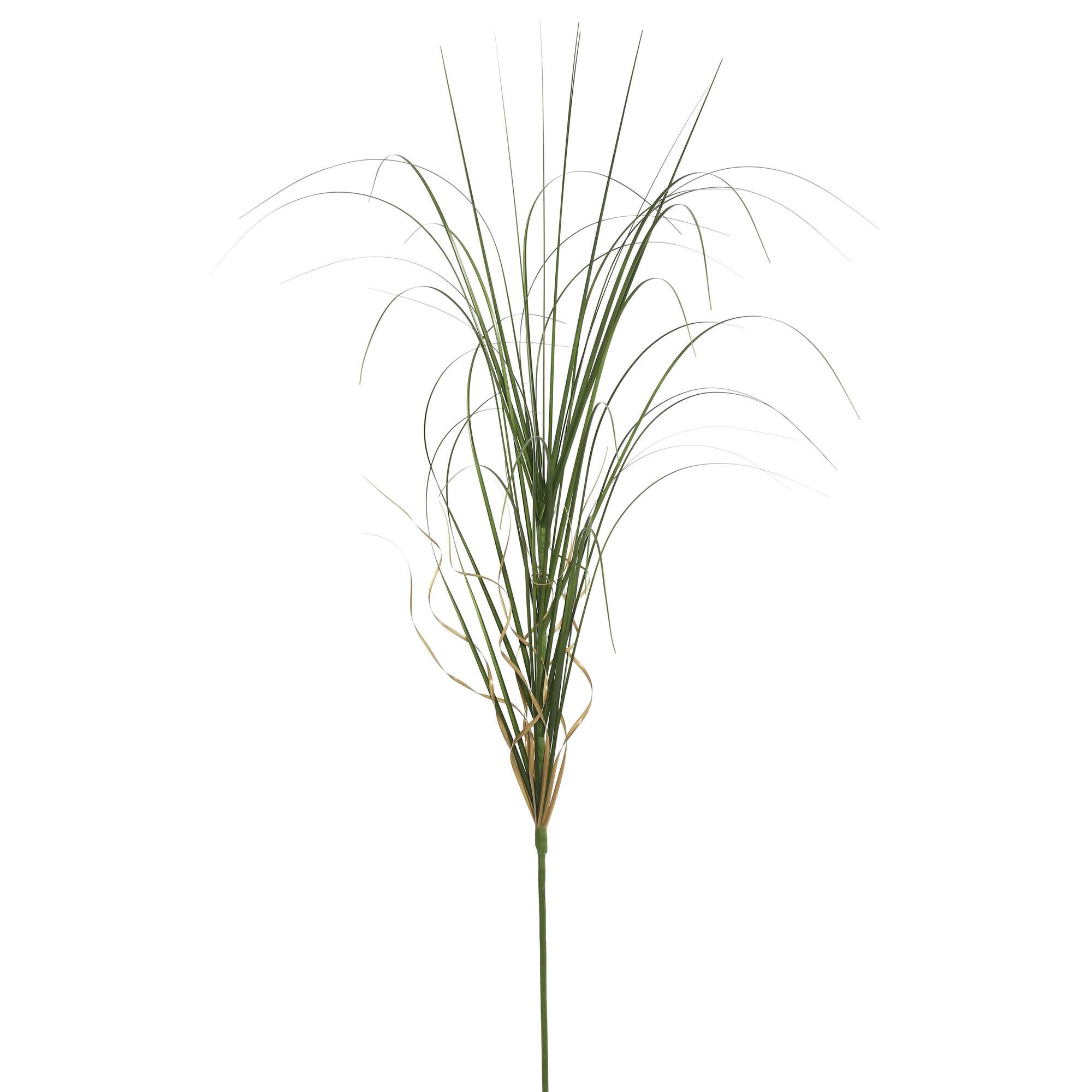 6 Pack: Green Curled Grass Spray